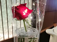 -番食园鲜食火锅(高新店)
