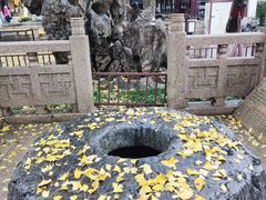 -常熟方塔园