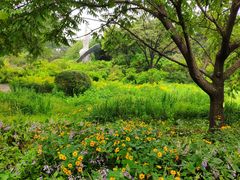 -沈阳植物园