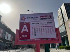 -桃花堤公园