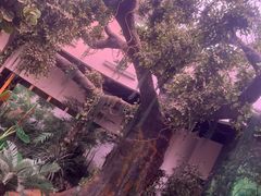 -陕西自然博物馆