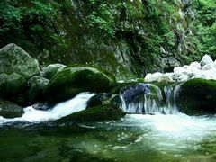 -黑河国家森林公园