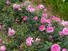 -人民公园(罗湖区)