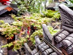 -鱼桥巷·美学川菜