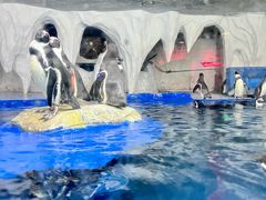 -太平洋海底世界