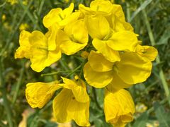 -中国天府农业博览园