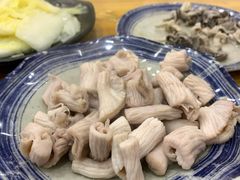羊肚仁-金生隆(六铺炕店)