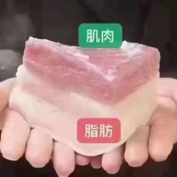-香薇妮丝·定制减肥·身材管理