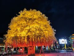 -鼎盛王朝康熙大典实景演出