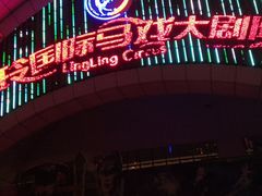 -灵玲国际马戏城