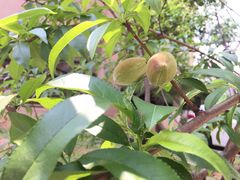 -艾溪湖湿地公园