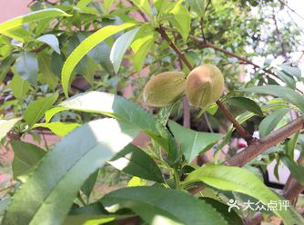 其他门及其他时段只出不进