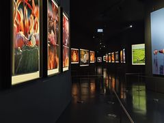 -罗红摄影艺术馆