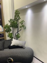 -JNK皮肤管理中心