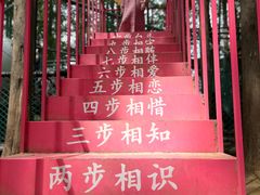 -日照海滨国家森林公园