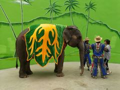 -大连森林动物园