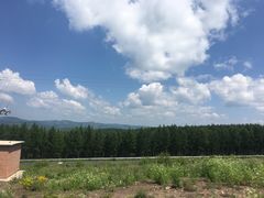 -塞罕坝国家级自然保护区