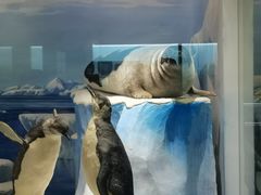 -国家自然博物馆