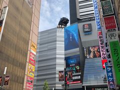 -东京希尔顿酒店