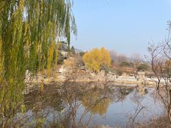 -北京西山国家森林公园