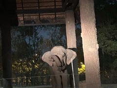 -清迈夜间动物园