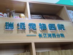 -瑞派长江宠物医院·猫科·外科·24小时夜护(谊城公寓分院)