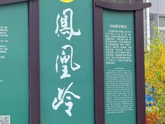 -北京凤凰岭