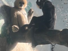 -石家庄市动物园