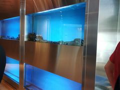 -mezza9 Macau(澳门君悦酒店)