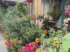 -国家植物园南园