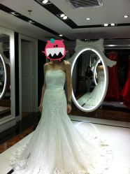 第一套出门纱&nbsp;鱼尾-韩国天使嫁衣婚纱礼服馆(上海旗舰店)