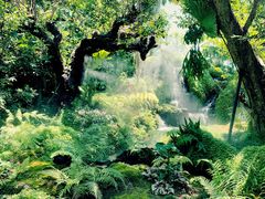 -Chom Cafe and Restaurant