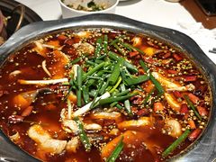 -乡土特色.冷锅鱼.牦牛肉汤锅