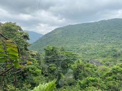 -呀诺达热带雨林