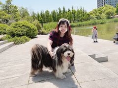 -南翔镇银翔湖公园