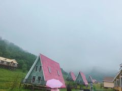 -关山草原