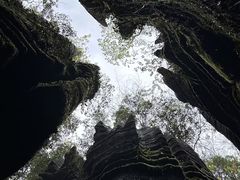 -梭布垭石林景区