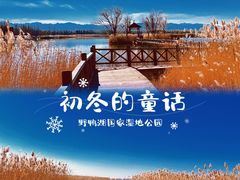 -野鸭湖国家湿地公园