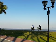 -野狸岛