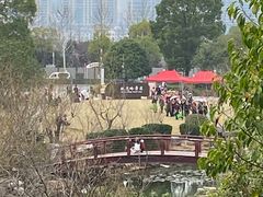 -桃花岭景区