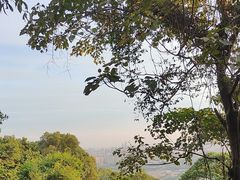 -火炉山森林公园