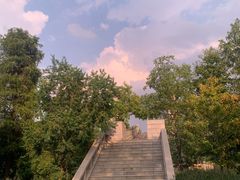 -东湖落雁景区