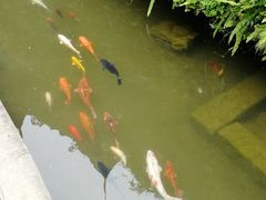-芦沟竹海