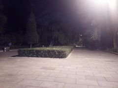 -青城公园
