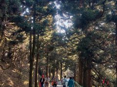 -南岳衡山风景名胜区