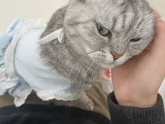-共舞时光猫咖·狗咖(新街口店)