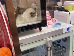 -FAELING PETS美天灵宠物(富力广场店)