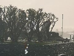 -中途岛号航空母舰博物馆