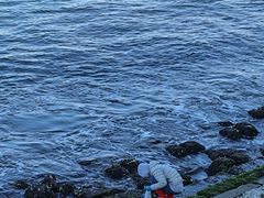 -悦海公园