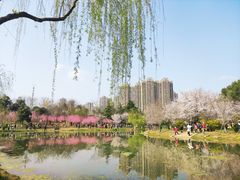 -堤角公园